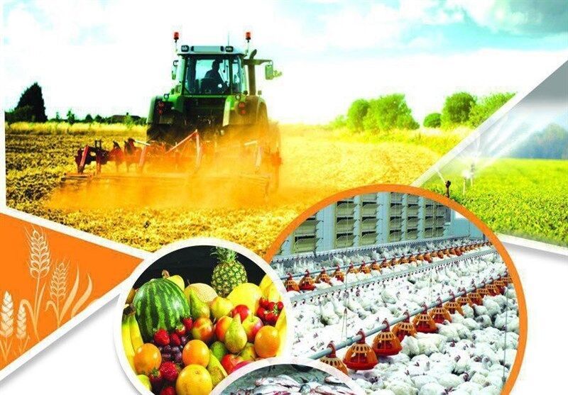 فناوری هستهای پاسخی راهبردی به نیازهای کشاورزی و امنیت غذایی فناوری هستهای پاسخی راهبردی به نیازهای کشاورزی و امنیت غذایی