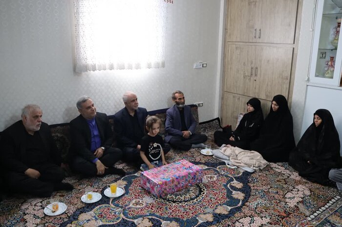 معاون رییس جمهور در امور ایثارگران با خانواده شهید اسماعیل پاشایی در بهارستان دیدار کرد