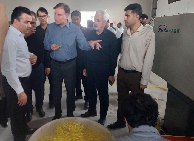 ۲ پروژه با اشتغالزایی ۲۳۶ نفر در منطقه ویژه اقتصادی بوشهر بهره برداری شد