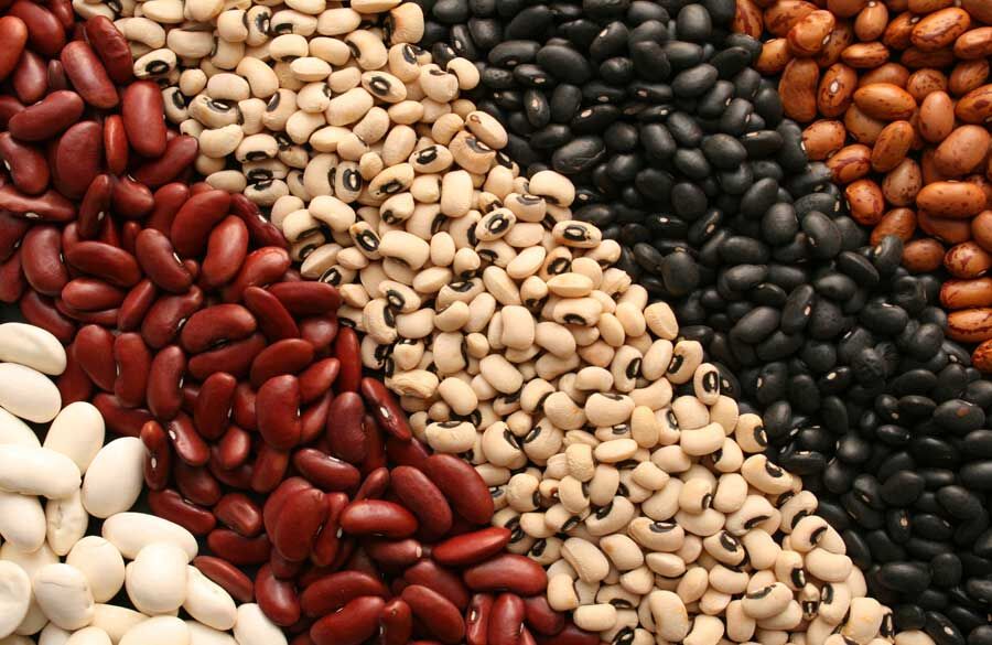 رشد 232 هکتاری سطح زیر کشت مزارع تکثیر بذر حبوبات در کشور