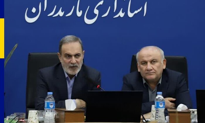 بطحایی: ساماندهی سواحل خزر در اولویت دولت است/ پلاژهای دولتی ناجی غریق داشته‌ باشند