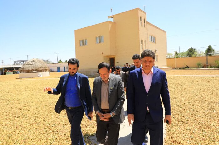 نخستین کارخانه فرآوری پسته کشور با کمک هوش مصنوعی در کرمان افتتاح شد