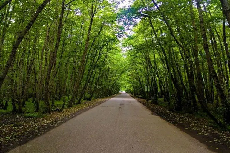 دهکده مریان؛ روستایی که شما را به آرزوهایتان میرساند