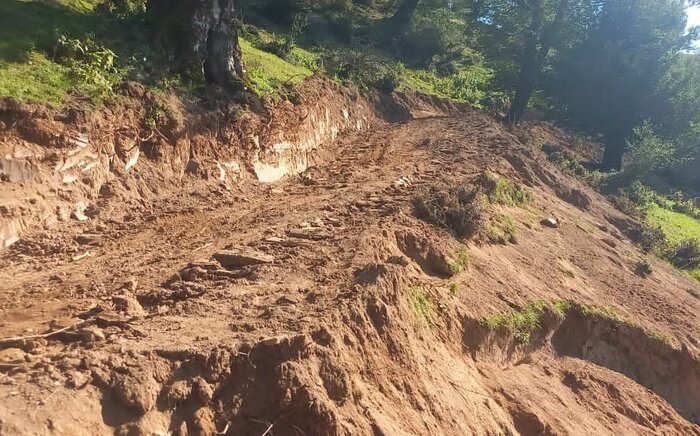 بازوی بتنی بر سینه جنگل هیرکانی؛ دغدغه جدید محیطبانان گیلان