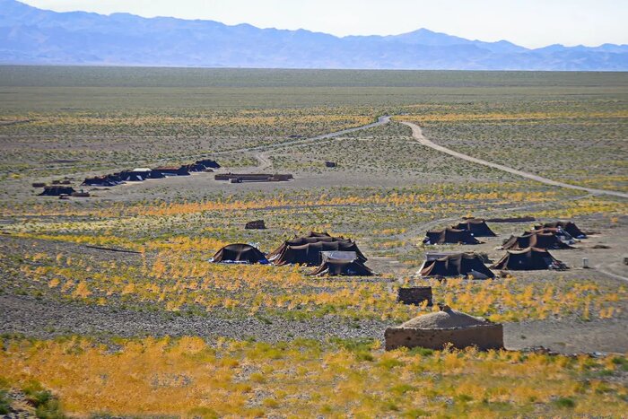 عشایر سیستان و بلوچستان؛ نقشآفرینان اقتصادی و حافظان فرهنگ بومی