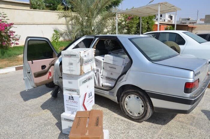 توقیف ۴۹۵ دستگاه خودرو شوتی در ایلام