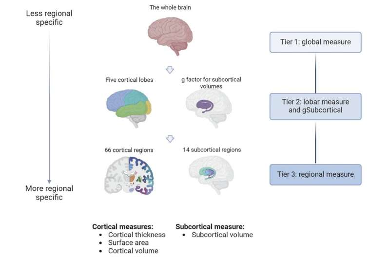 کشف تفاوتهای مغزی در افراد مستعد افسردگی
