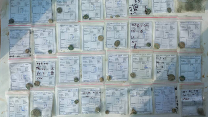 کشف ۱۰۰ سکه تاریخی در دل کمرزرین اصفهان؛ احتمال کشف یک تجارتخانه قوت گرفت