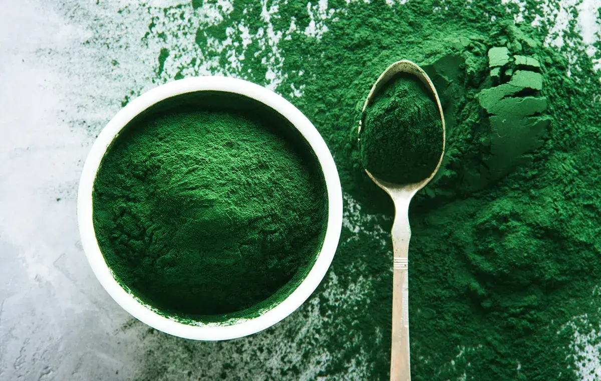 جلبک «اسپیرولینا» چیست و چه مصرفی دارد؟