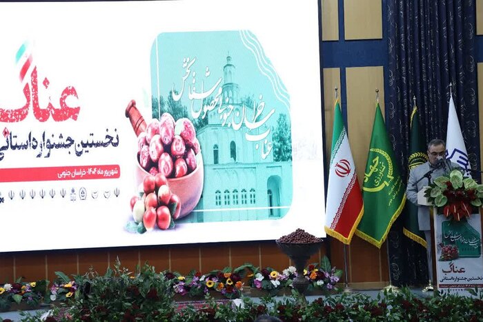 جشنواره عناب خراسان جنوبی فرصتی برای معرفی این گیاه دارویی در سطح ملی است