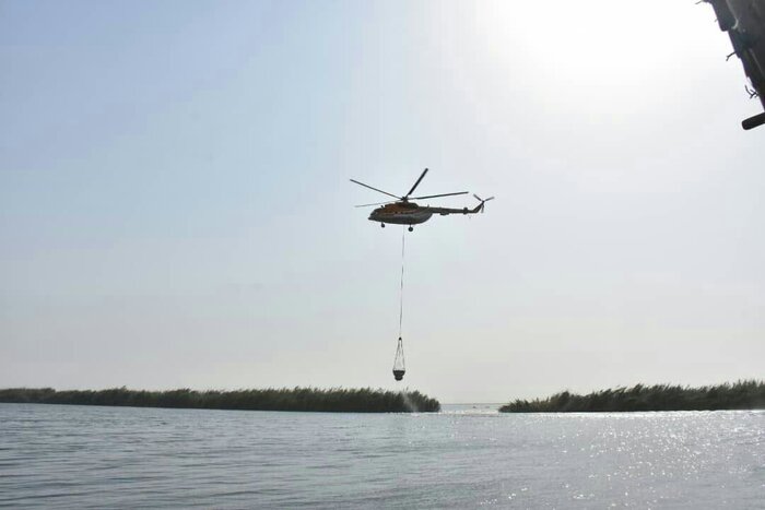 تکنسینهای نفتی گرفتار در تالاب شادگان از خطر مرگ نجات یافتند
