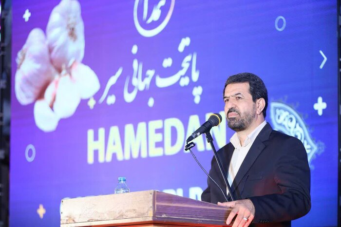 همدان می‌کارد دیگران صادر می‌کنند؛ معمای خام‌فروشی «سیر» ایران