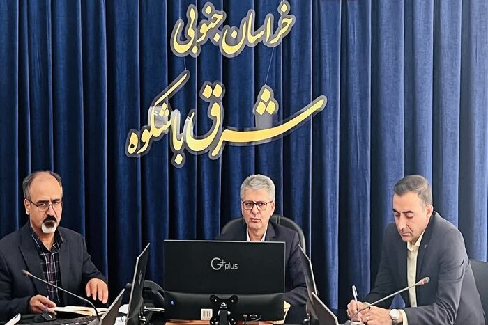بزرگترین فرش تصویری تاریخی ایران در بیرجند رونمایی میشود