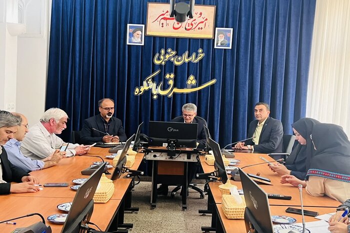 بزرگترین فرش تصویری تاریخی ایران در بیرجند رونمایی میشود