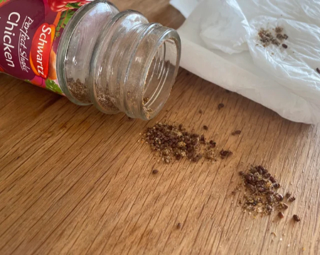 راهکارهای مقابله و پیشگیری از حشره ادویه در آشپزخانه