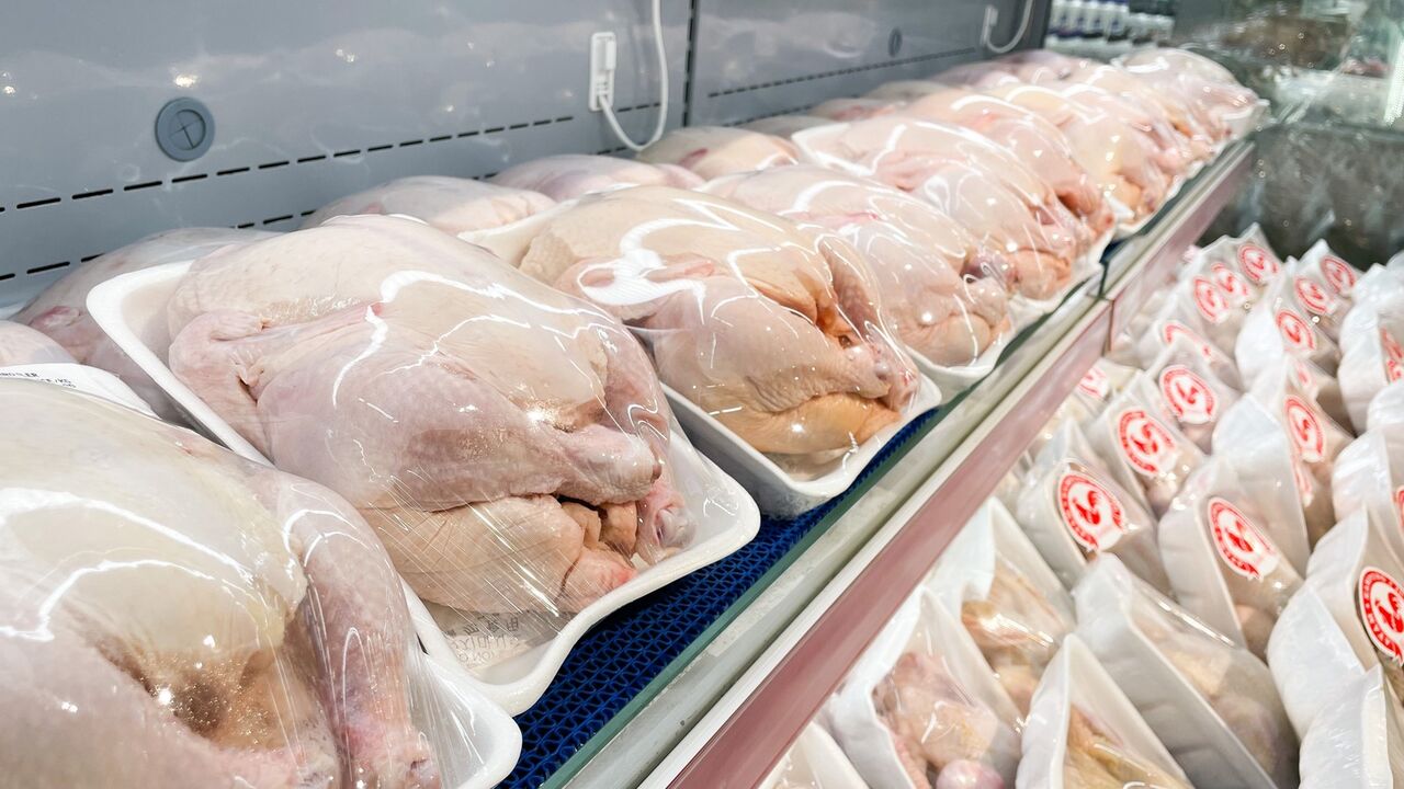 روزانه ۳۰۹ تن گوشت مرغ روانه بازار آذربایجان غربی می شود