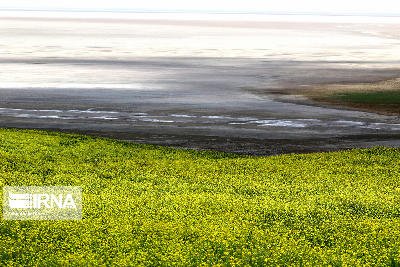 آیا دریاچه ارومیه را از دست دادیم