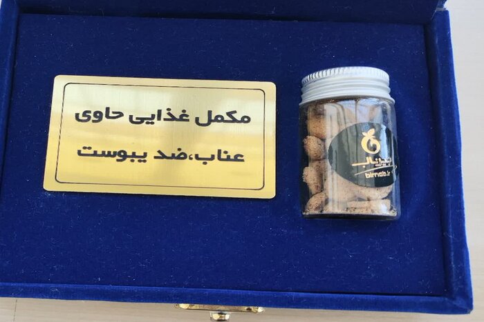 «ستفا»؛ پل تجاریسازی تحقیقات تا ثروتآفرینی در خراسان جنوبی