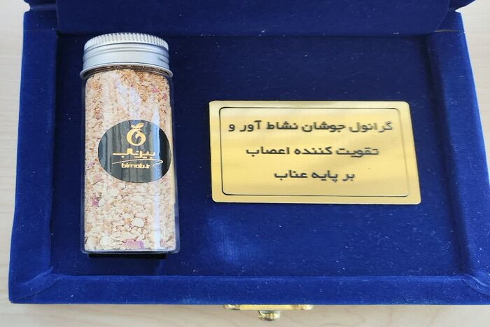 سرمایه‌گذاری در عناب؛ فرصت طلایی توسعه داروسازی خراسان جنوبی