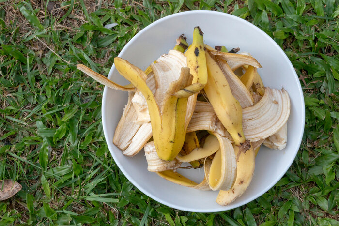 باغچه خود را با کود خانگی، از زباله بسازید