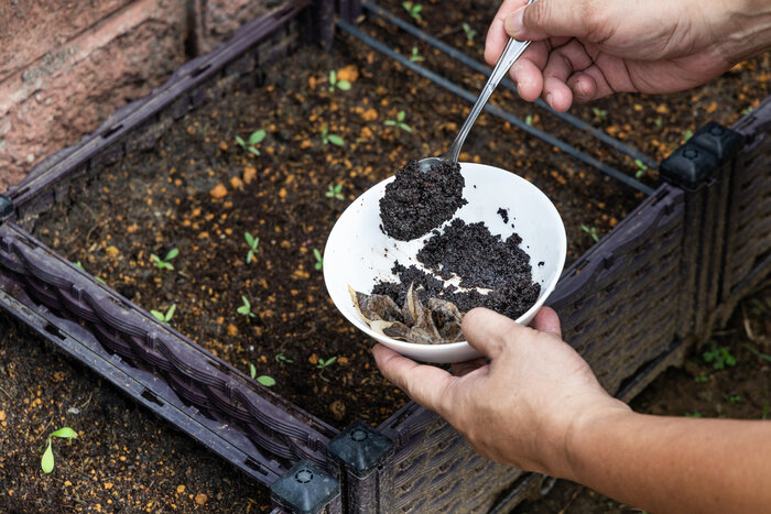 باغچه خود را با کود خانگی، از زباله بسازید