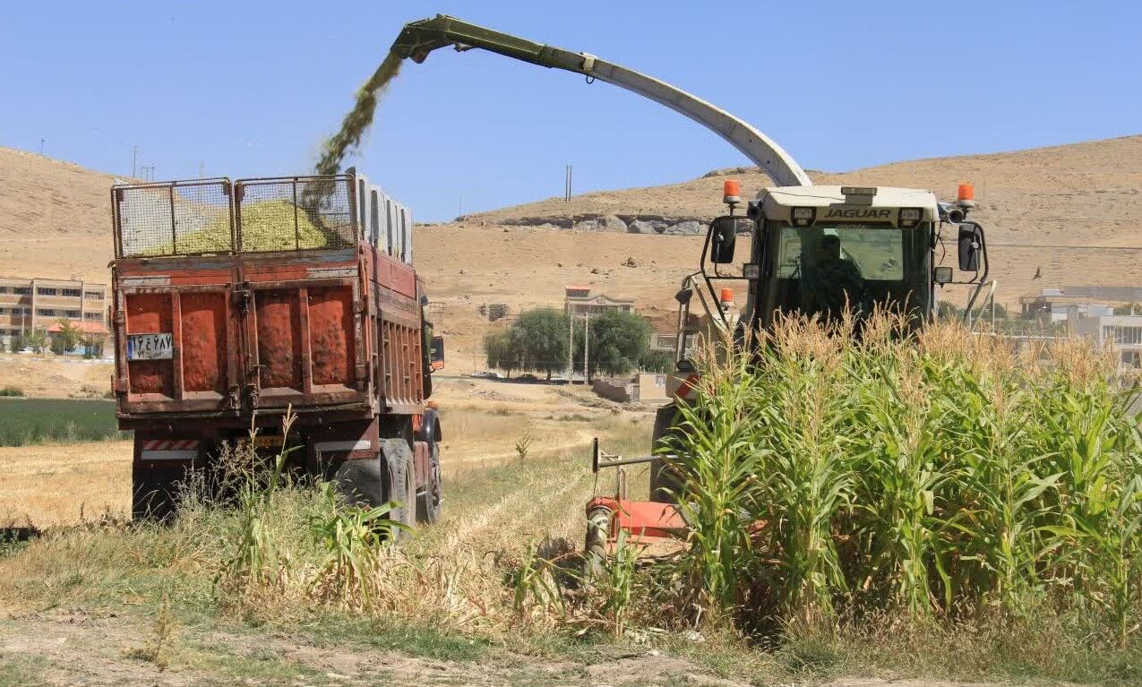 ۱۴۵ هزار هکتار از زمین‌های کشاورزی چهارمحال و بختیاری برای اجرای الگوی کشت در نظر گرفته شد