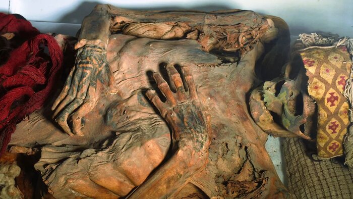 تَتو؛ مُد یا معضل/زیبایی و زخمی که روی پوست می‌ماند