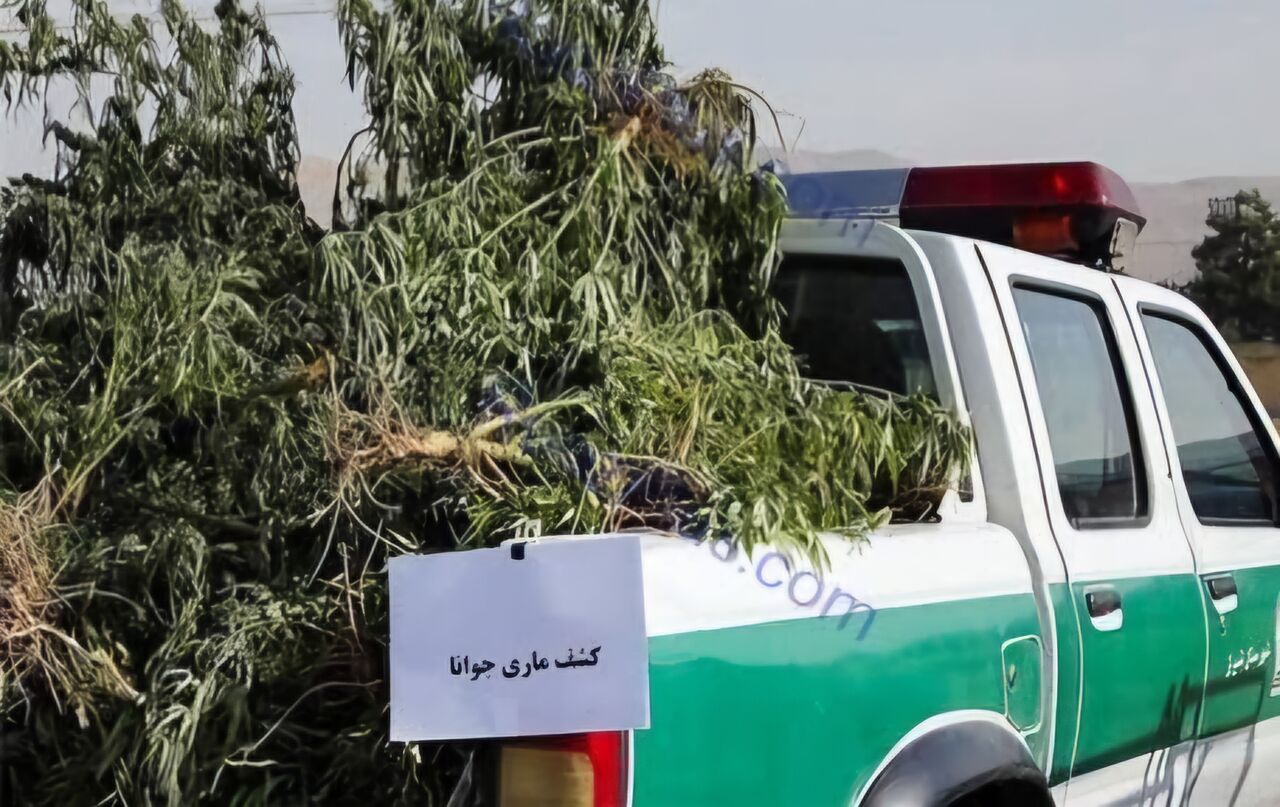 کشف سه و نیم تن ماری جوانا در ایذه