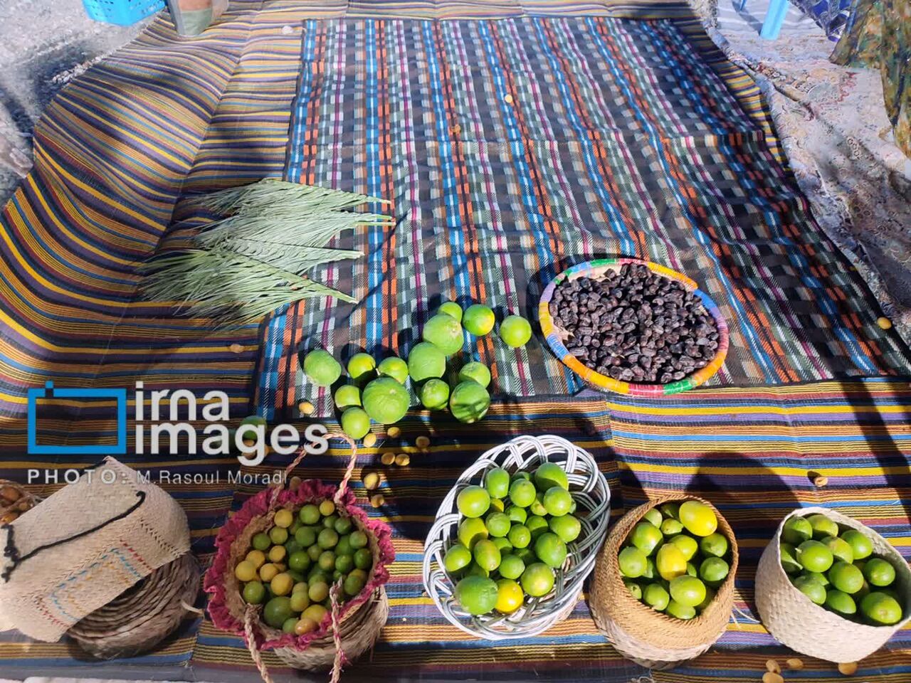 جشنواره ملی لیمو و خرمای رودان؛ رویدادی‌ برای توسعه کشاورزی و معرفی ظرفیت‌های هرمزگان