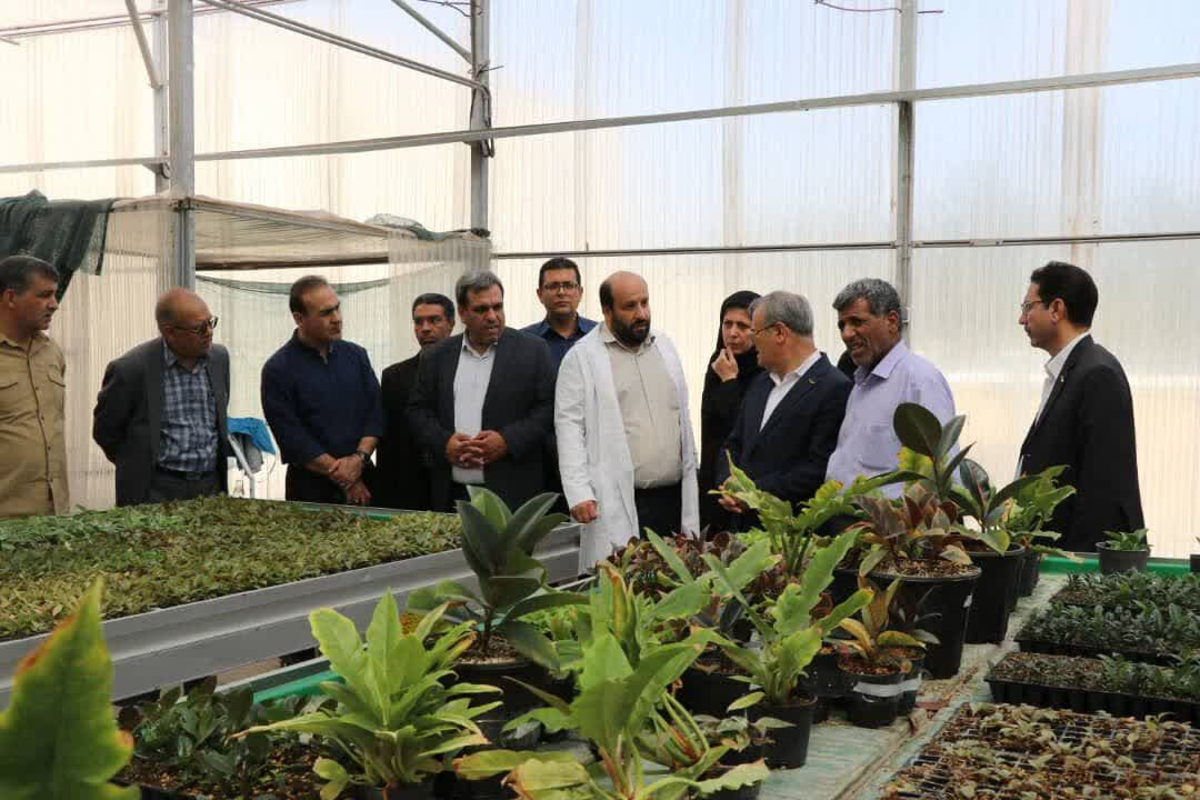معاون وزیر جهاد کشاورزی بر مشارکت بخش خصوصی و دانشگاهی برای حل چالش‌های این بخش تاکید کرد