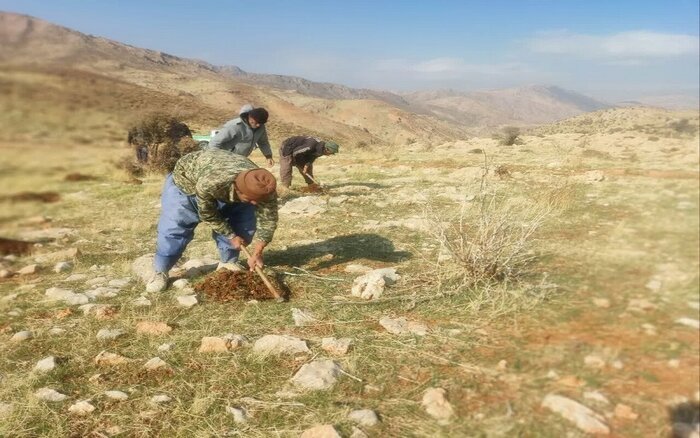 شکوفایی ظرفیت‌ گیاهان دارویی مطالبه بهره‌برداران کهگیلویه و بویراحمد از رییس جمهور