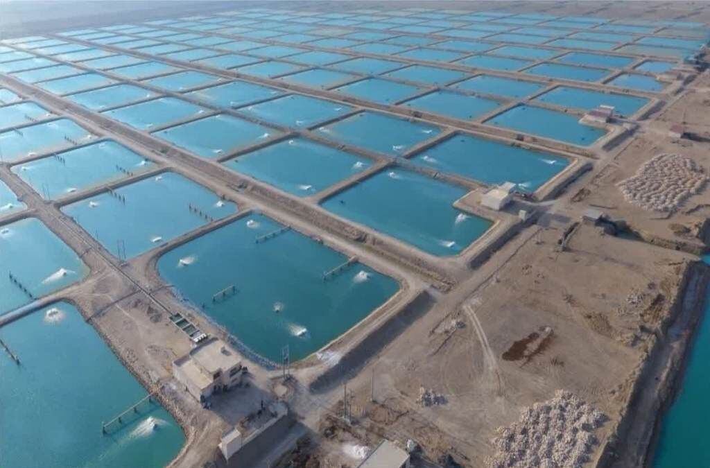 تأمین برق دائم بزرگترین شهرک شیلاتی کشور با فرمان وزیر نیرو در دستور کار قرار گرفت تأمین برق دائم بزرگترین شهرک شیلاتی کشور با فرمان وزیر نیرو در دستور کار قرار گرفت