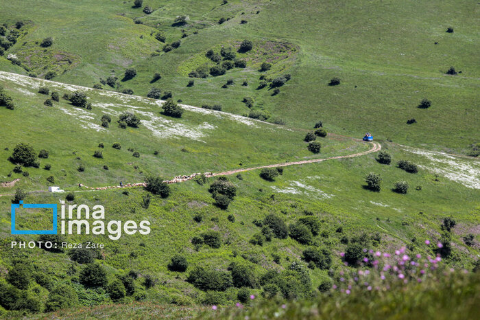 لب تشنگان هیرکانی