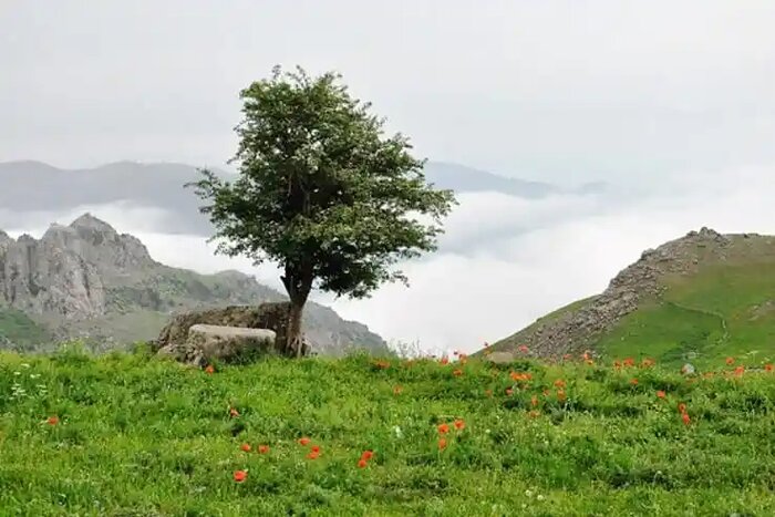 تالش؛ سفری از ساحل تا سوباتان