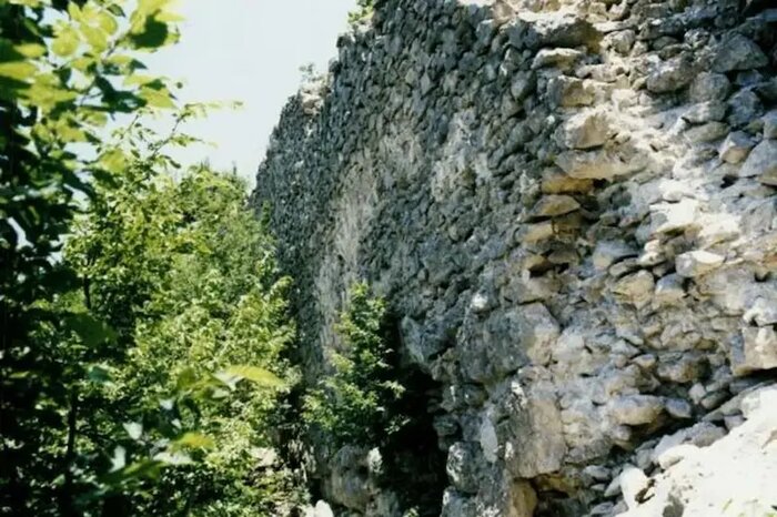 املش تمدنی در مه و کوهستان