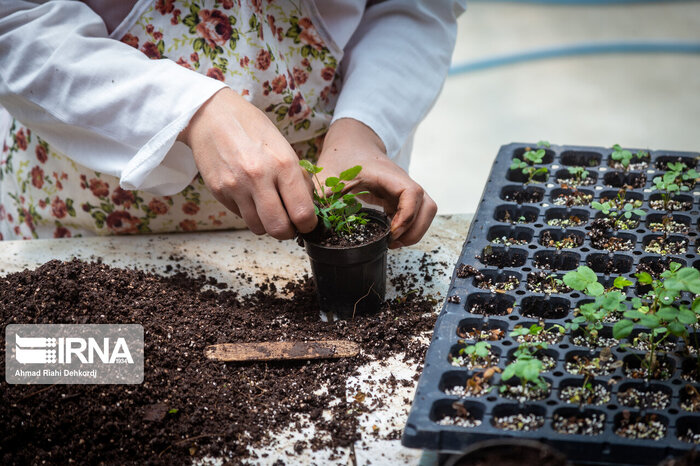 کشاورزی بدون اصلاح الگوی بهرهبرداری مانعی برای حفظ منابع است