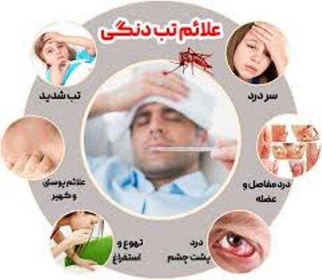 سواحل مکران در معرض افزایش خطر بیماری تب دنگی/ ۷۷۵ مورد ابتلا به تب دنگی در چابهار وکنارک