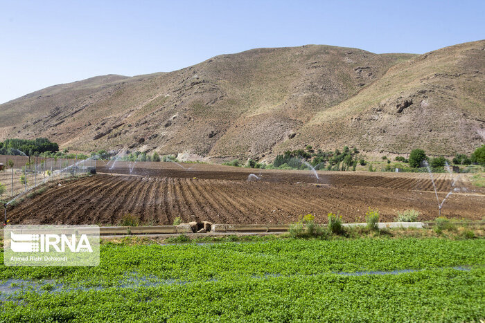 زخمهای ماندگار زلزله در غرب کرمانشاه؛ نیاز ۵ هزار میلیاردی برای ترمیم زیرساختها