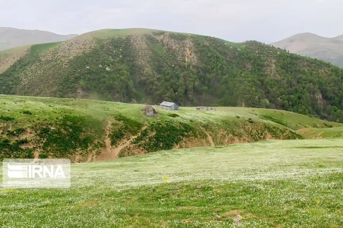 هشدار سطح زرد هواشناسی؛ دمای هوا در مازندران افزایش می‌یابد