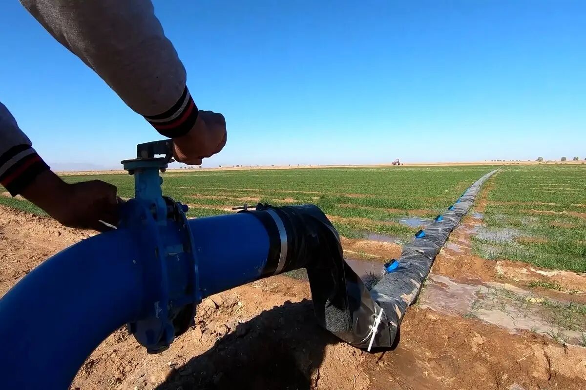 انجام پنج اقدام برای حمایت از کشاورزان کهگیلویه و بویراحمد