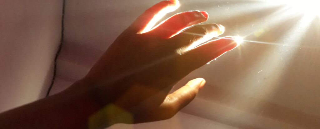 کشف درخشش مرموز حیات؛ نوری که با مرگ خاموش می‌شود