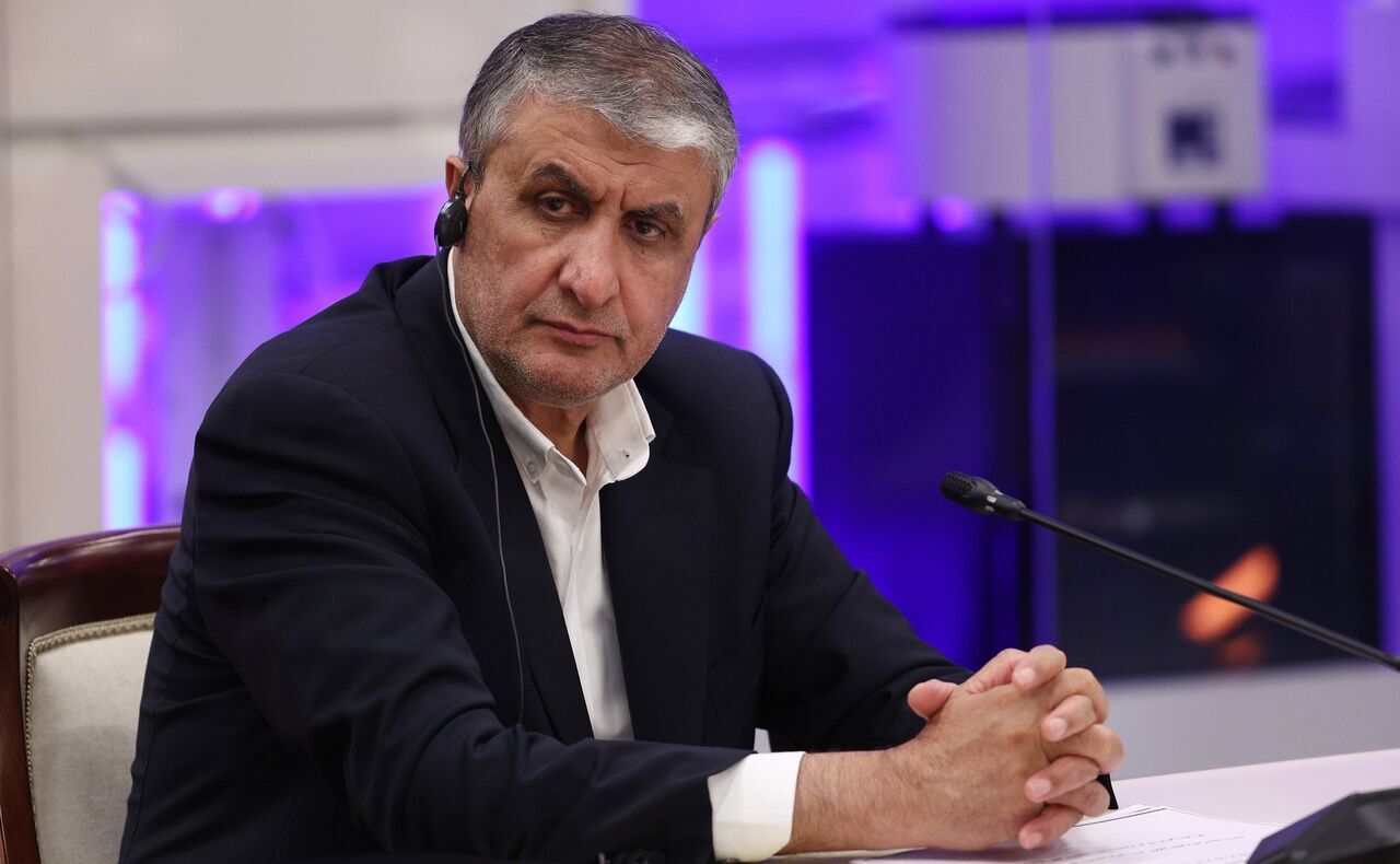 Western pressure regarding inspection ineffective, says Iran’s nuclear chief