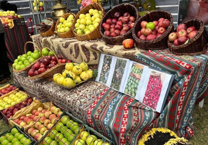 سفر دو روزه صالحی‌امیری به کهگیلویه‌ و بویراحمد: گردشگری پیشران توسعه و امیدآفرینی