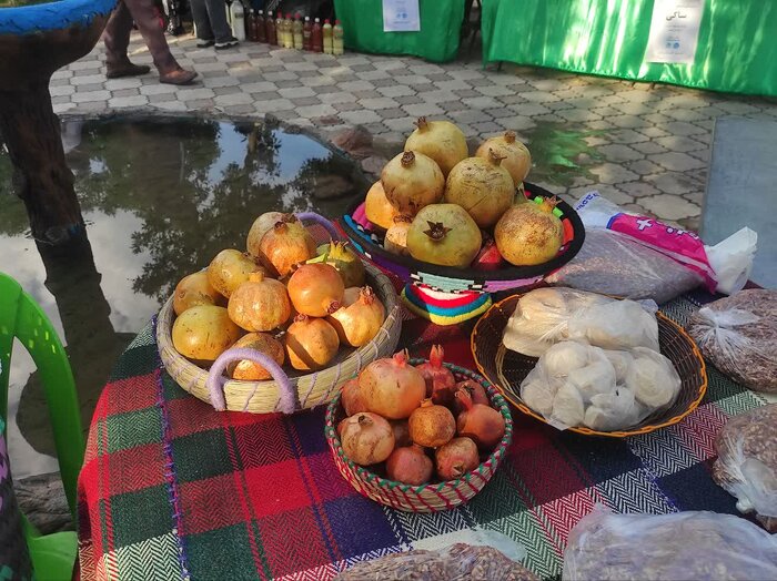فرماندار: تکمیل زنجیر ارزش افزوده انار در اندیمشک مورد تاکید است