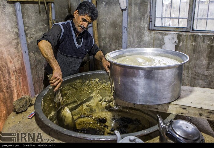 صومعهسرا؛ قدم در تاریخ تا آواز پرندگان مهاجر