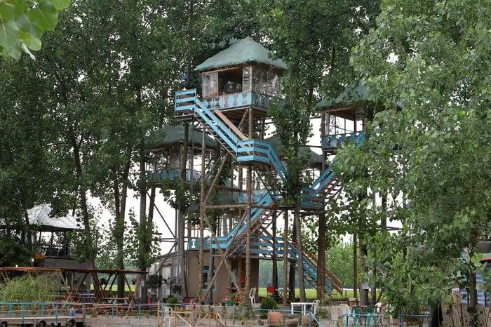 خمام؛ هنر حصیر تا عطر تالاب بر فراز کلبههای درختی