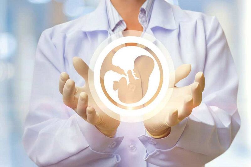 یک هزار و ۳۳۵ زوج بوشهری تحت پوشش خدمات درمان ناباروری قرار گرفتند یک هزار و ۳۳۵ زوج بوشهری تحت پوشش خدمات درمان ناباروری قرار گرفتند