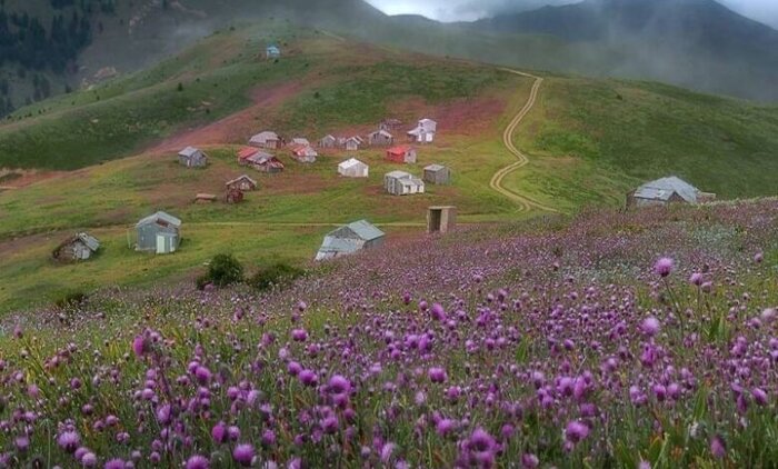 رودبار؛ سرزمین زیتونهای جاودان تا رازهای هزار ساله طبیعت