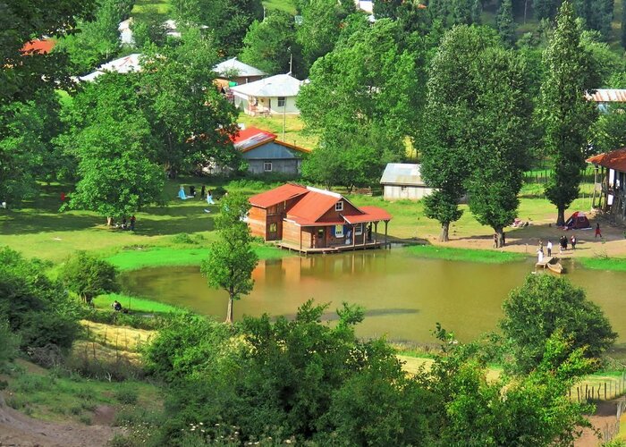 رودبار؛ سرزمین زیتونهای جاودان تا رازهای هزار ساله طبیعت