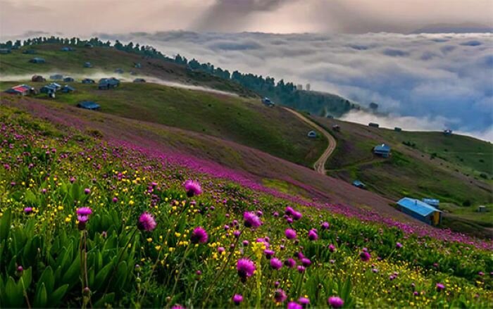 رودبار؛ سرزمین زیتونهای جاودان تا رازهای هزار ساله طبیعت